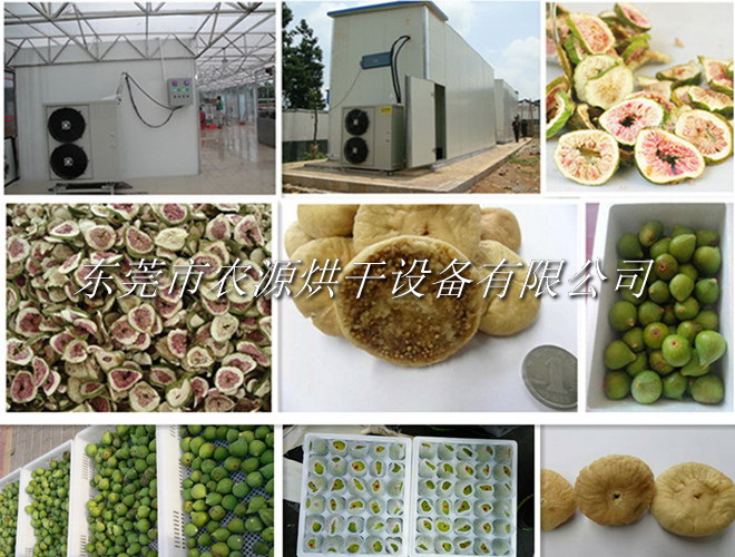 無(wú)花果烘干