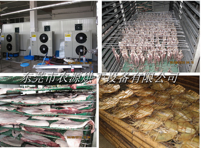 魷魚墨魚烘干